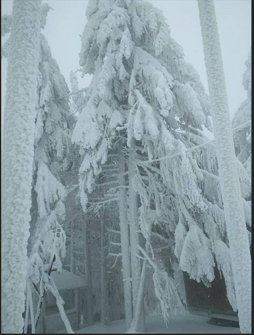 "Різьбярська Садиба" Slavsko Extérieur photo