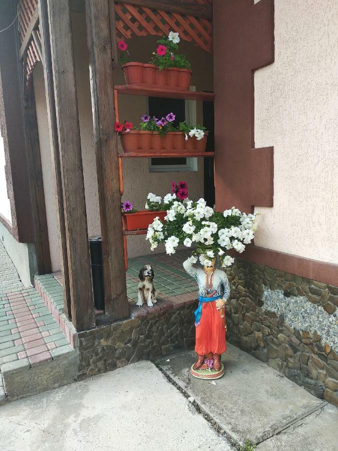 "Різьбярська Садиба" Slavsko Extérieur photo