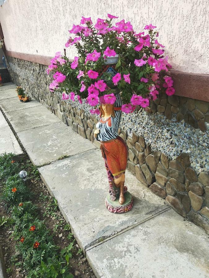"Різьбярська Садиба" Slavsko Extérieur photo